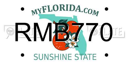 RMB770 Florida License Plate