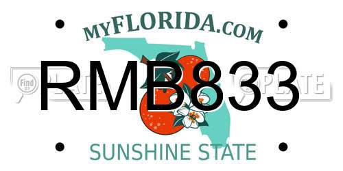 RMB833 Florida License Plate