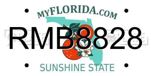 RMB8828 Florida License Plate
