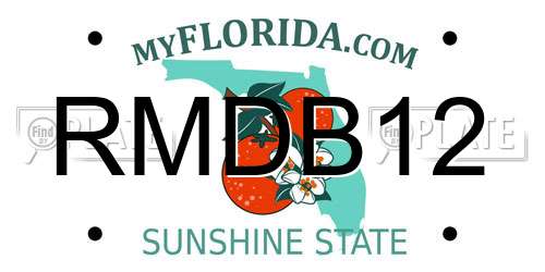 RMDB12 Florida License Plate