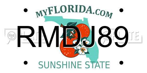 RMDJ89 Florida License Plate