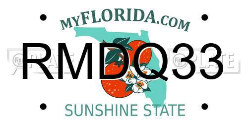 RMDQ33 Florida License Plate