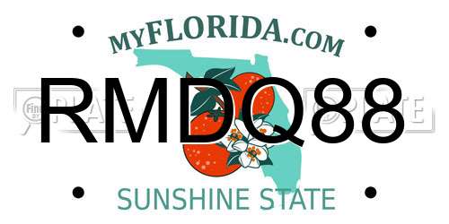 RMDQ88 Florida License Plate