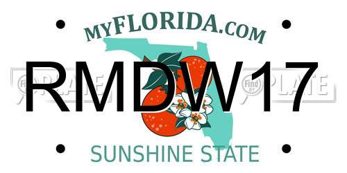RMDW17 Florida License Plate