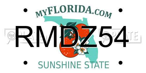 RMDZ54 Florida License Plate