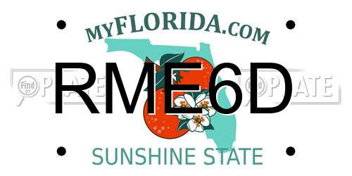 RME6D Florida License Plate
