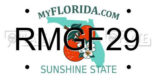 RMGF29 Florida License Plate