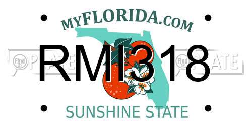 RMI318 Florida License Plate