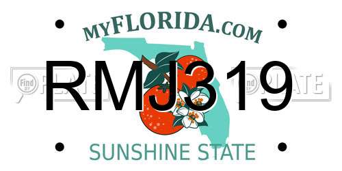 RMJ319 Florida License Plate