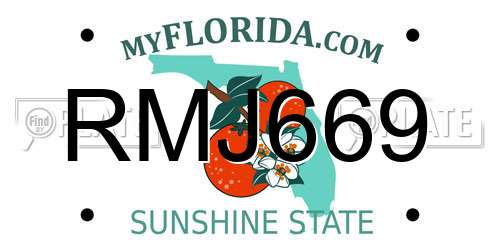RMJ669 Florida License Plate