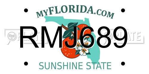 RMJ689 Florida License Plate