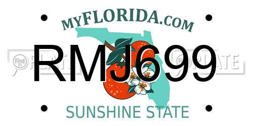 RMJ699 Florida License Plate