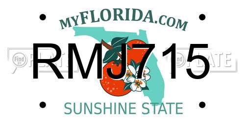 RMJ715 Florida License Plate