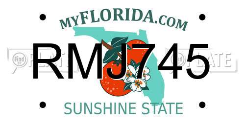 RMJ745 Florida License Plate