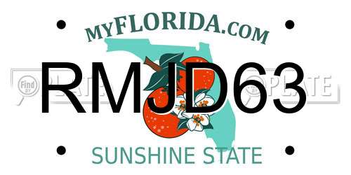 RMJD63 Florida License Plate