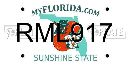 RML917 Florida License Plate