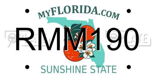 RMM190 Florida License Plate