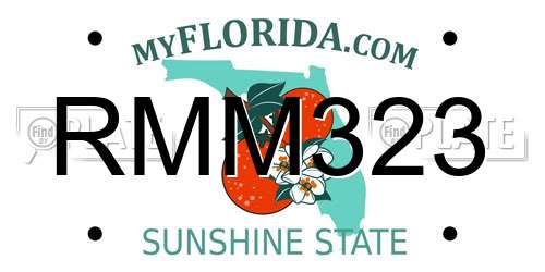 RMM323 Florida License Plate
