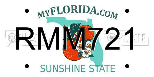 RMM721 Florida License Plate