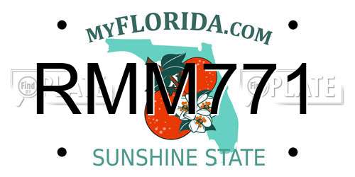 RMM771 Florida License Plate