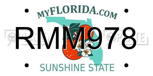 RMM978 Florida License Plate