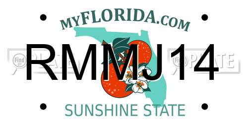 RMMJ14 Florida License Plate