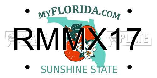 RMMX17 Florida License Plate