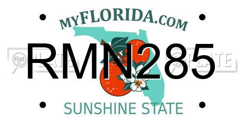 RMN285 Florida License Plate