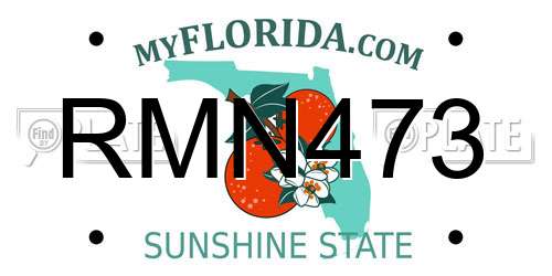 RMN473 Florida License Plate