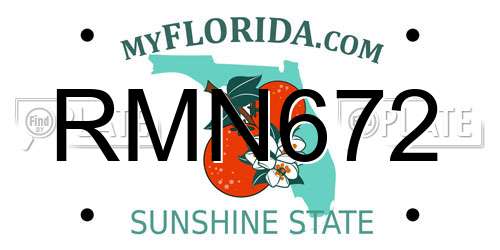 RMN672 Florida License Plate