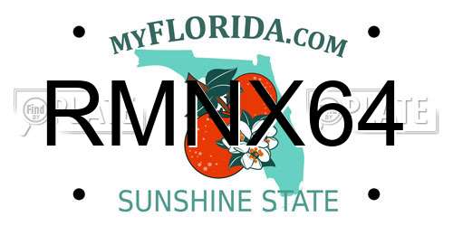 RMNX64 Florida License Plate