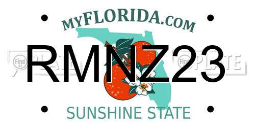 RMNZ23 Florida License Plate