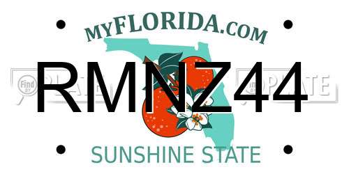 RMNZ44 Florida License Plate