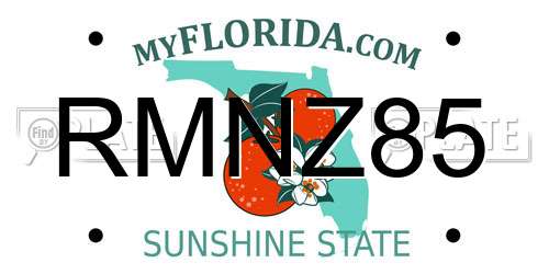 RMNZ85 Florida License Plate