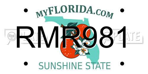 RMR981 Florida License Plate