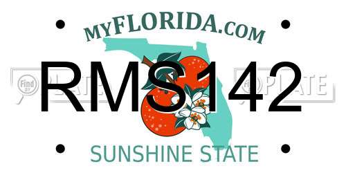 RMS142 Florida License Plate