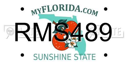 RMS489 Florida License Plate