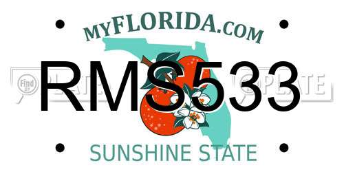 RMS533 Florida License Plate