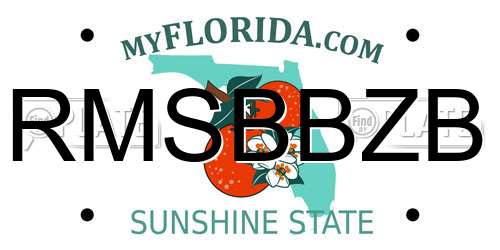 RMSBBZB Florida License Plate