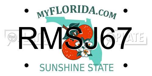 RMSJ67 Florida License Plate