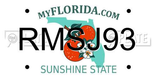 RMSJ93 Florida License Plate