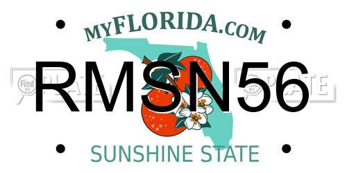 RMSN56 Florida License Plate