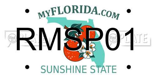 RMSP01 Florida License Plate
