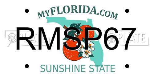RMSP67 Florida License Plate
