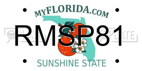 RMSP81 Florida License Plate