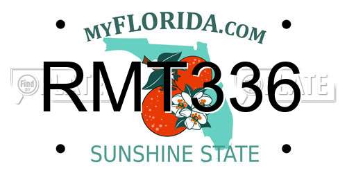 RMT336 Florida License Plate