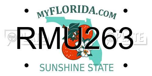 RMU263 Florida License Plate