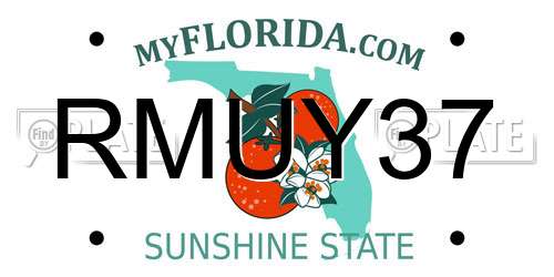 RMUY37 Florida License Plate