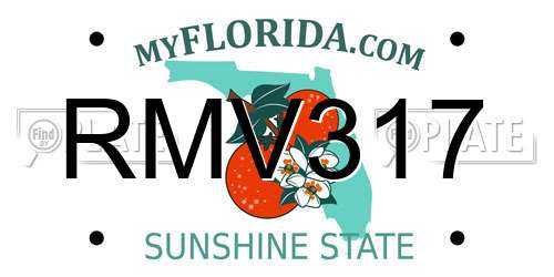 RMV317 Florida License Plate