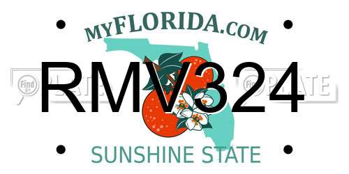 RMV324 Florida License Plate